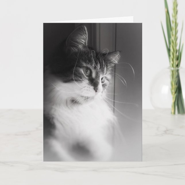 Sibiriska Cat Thinking Card Kort (Framsida)