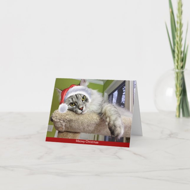 Sibiriska julkort för katt helgkort (Framsida)