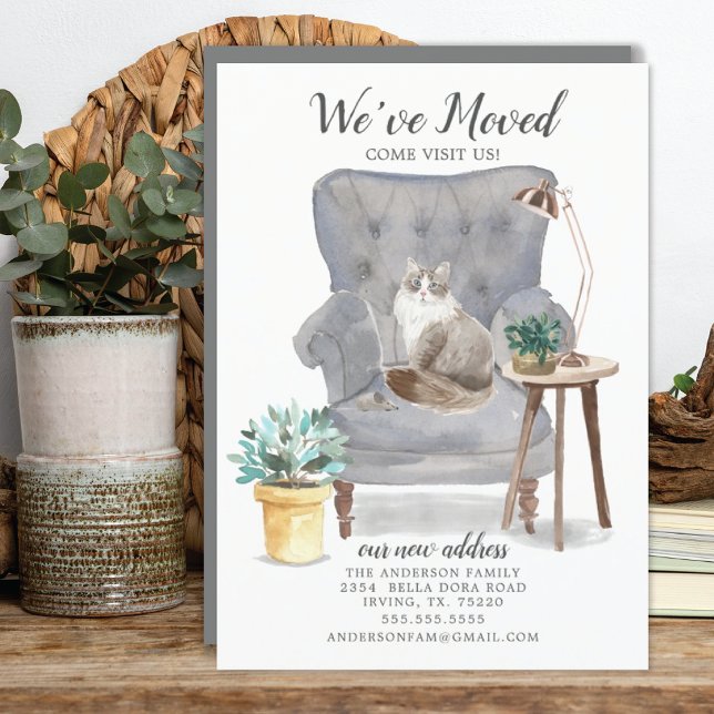 Sibiriska kattens Flytta Meddelande (Skapare uppladdad)