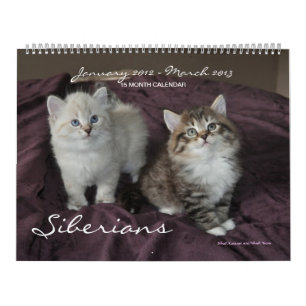 Sibiriska katter Kittens 2012-2013 Kalender