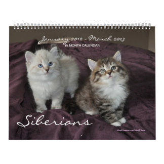 Sibiriska katter Kittens Jan2012 - Mar2013 Calenda Kalender