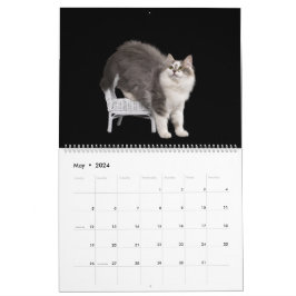 Sibiriska Kittens Kalender
