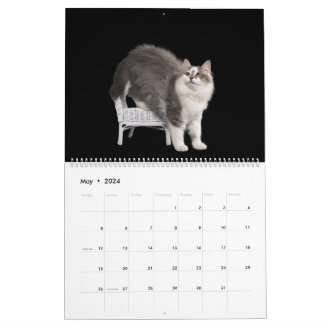 Sibiriska Kittens Kalender