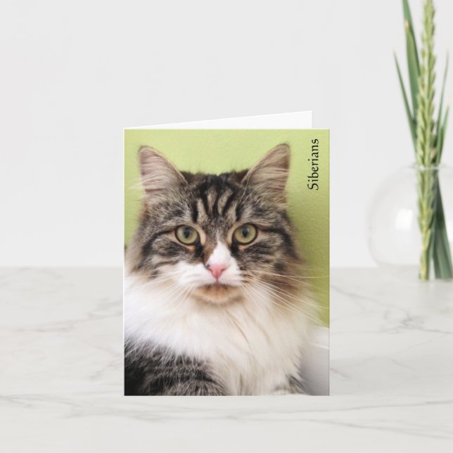 Sibiriska Magic Note-kort Kort (Framsida)