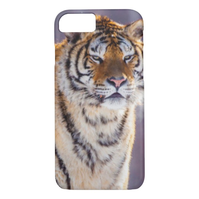 Sibiriska tiger i snö, China Case-Mate iPhone Skal (Baksida)