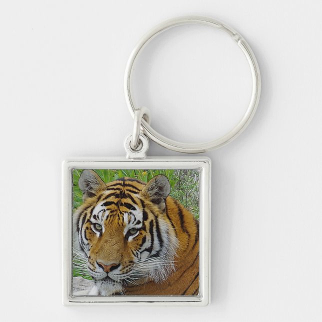 Sibiriska tigerns Closeup-foto från Ansikte Fyrkantig Silverfärgad Nyckelring (Framsidan)