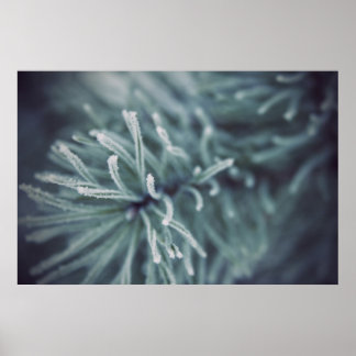 Sibiriska vinter 3 poster