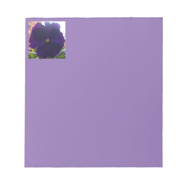 Sibylla Anteckningsblock (Framsida)