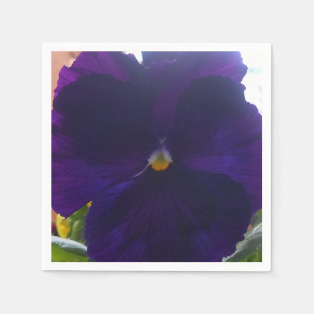 Sibylla Pappersservett (Framsidan)