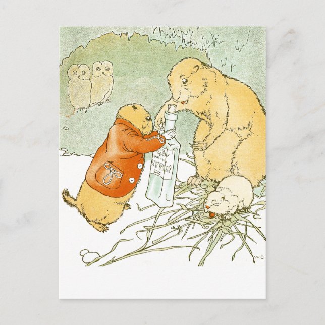 Sick Baby Prairie Hund Coughs Vykort (Framsida)