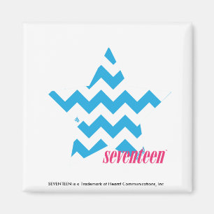 SicksackAqua 2 Magnet