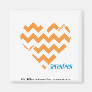 Sicksackorange 2 magnet