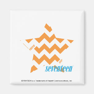 Sicksackorange 3 magnet