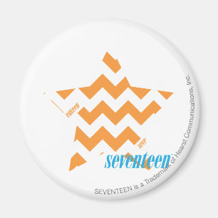 Sicksackorange 3 magnet