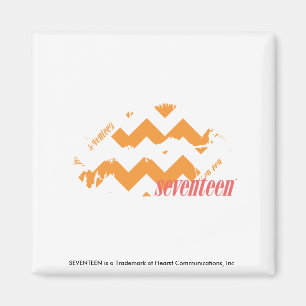 Sicksackorange Magnet