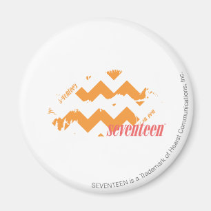 Sicksackorange Magnet