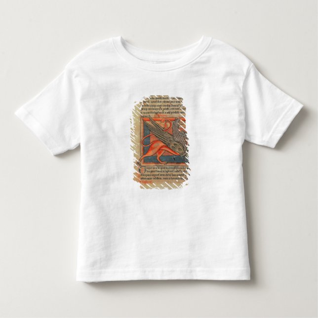 Sida av text med en illustration av en grip t shirt (Framsida)