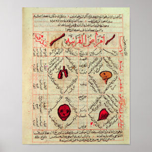 Sida från "Canon of Medicine" av Avicenna Poster