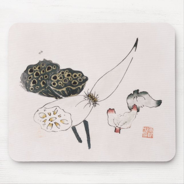 Sida från Shi Zhu Zhai (1644-1911) Musmatta (Framsidan)