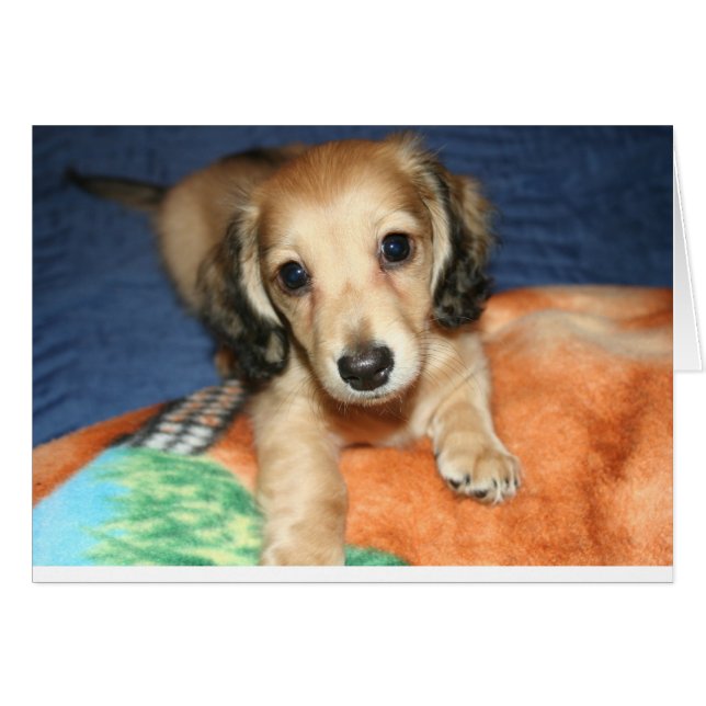 Sida vid sida eller miles från varandra hälsningskort (Framsidan Horizontal)