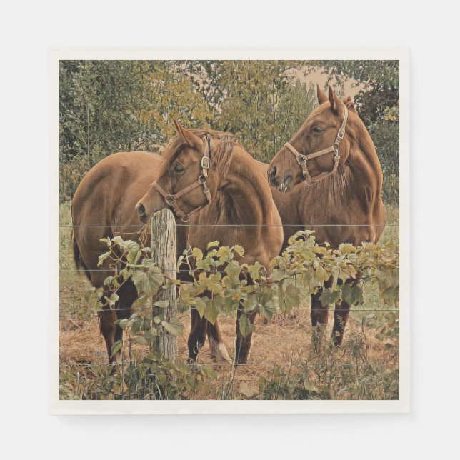 Sida vid sida - Pappra blöjor Pappersservett (Framsidan)