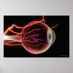 Sidan beskådar av blodkärlen av ögat poster
