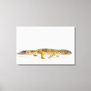 Sidan beskådar av leopardgeckoödla canvastryck