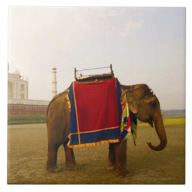 Sidan profilerar av en elefant, Taj Mahal, Indien Kakelplatta (Framsidan)