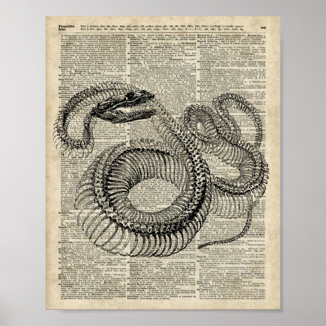 Sidartikel i Vintagen Boa Snake Skeleton  Dictiona Poster (Framsidan)