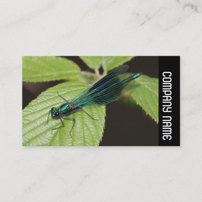 Sidband -  Dragonfly Visitkort (Framsida)