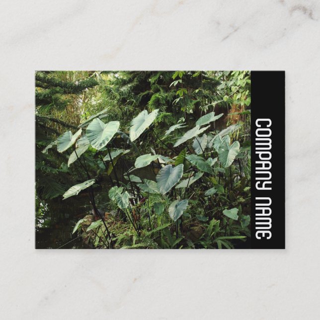 Side Band - Botaniska trädgårdar Visitkort (Framsida)