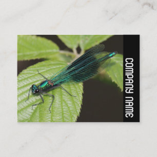 Side Band - Dragonfly Visitkort