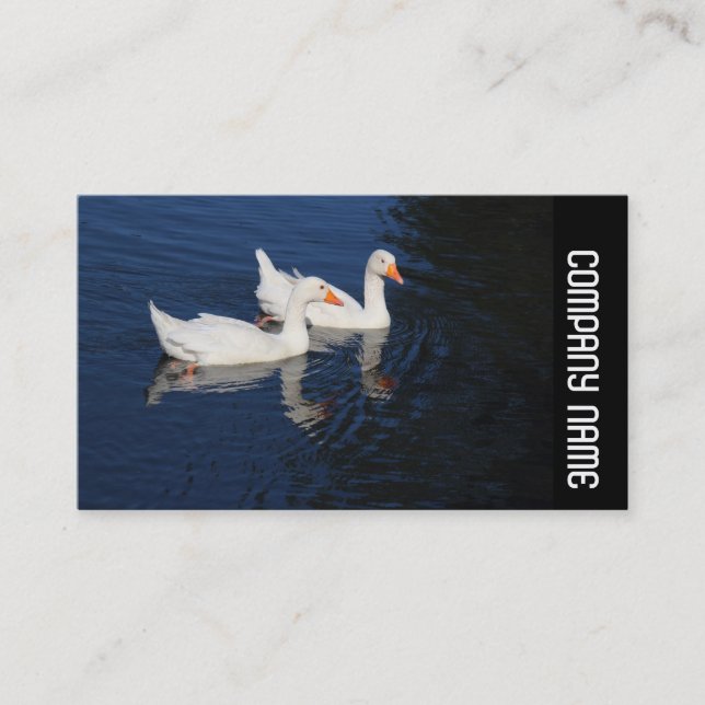 Side Band - Emden Geese Visitkort (Framsida)