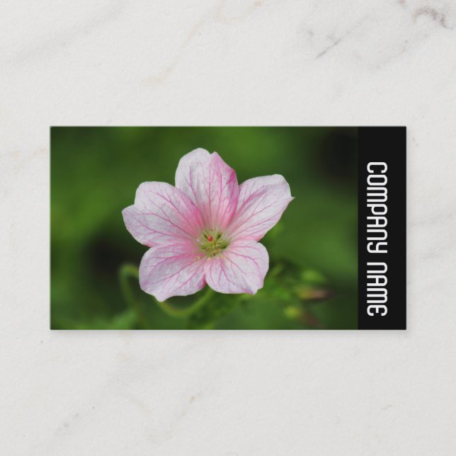Side Band - Geranium Visitkort (Framsida)