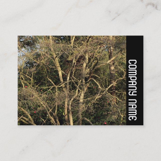 Side Band - Golden Grenar Visitkort (Framsida)