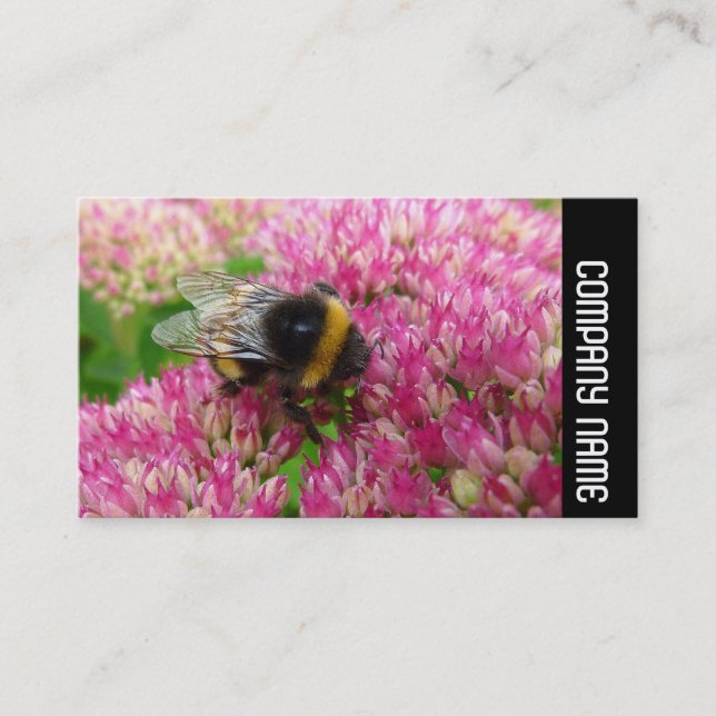 Side Band - Humla på Sedum Visitkort (Framsida)