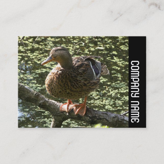 Side Band - Lycklig Anka Visitkort (Framsida)