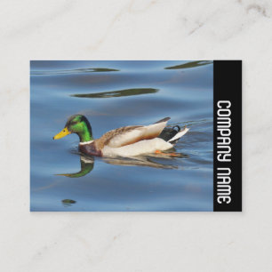 Side Band - Mallard Anka Visitkort