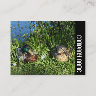 Side Band - Mr. och Mrs. Mallard Visitkort