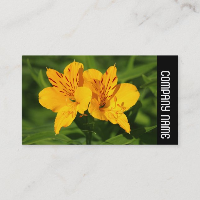 Side Band - Peruanska Lilies Visitkort (Framsida)