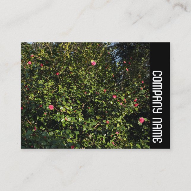 Side Band - Red Camellia Bush Visitkort (Framsida)