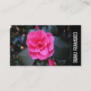 Side Band - Rosa Camellia Visitkort