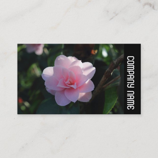 Side Band - Rosa Camellia Visitkort (Framsida)