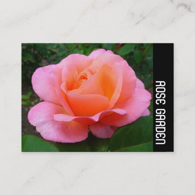 Side Band - Rosa ros Visitkort (Framsida)