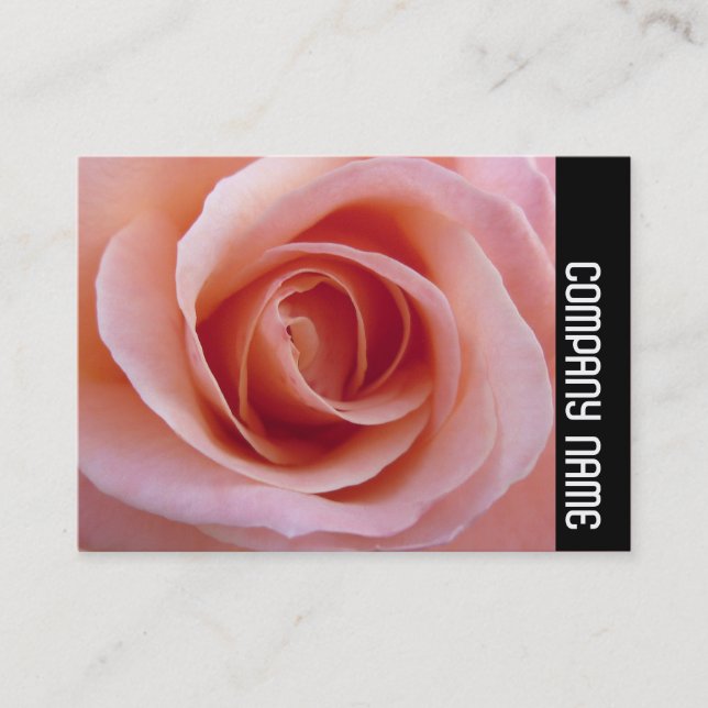 Side Band - Rosa ros Visitkort (Framsida)