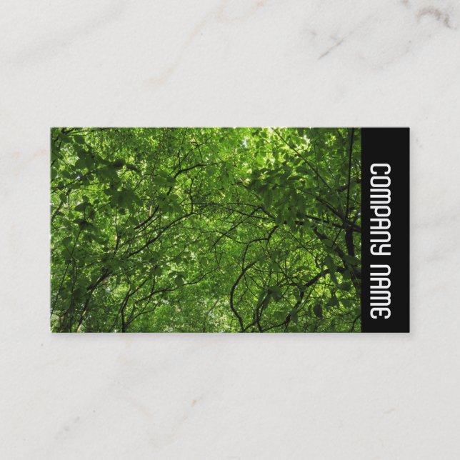 Side Band - Woodland Canopy Visitkort (Framsida)