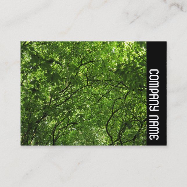 Side Band - Woodland Canopy Visitkort (Framsida)