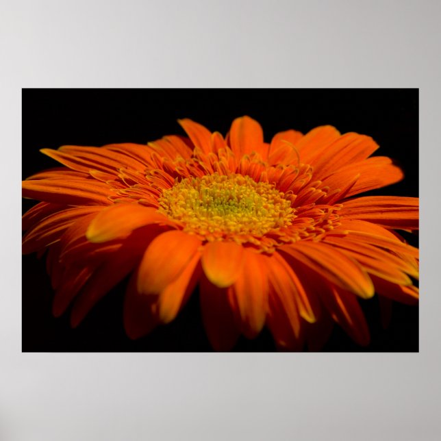 Side on Gerber Poster (Framsidan)