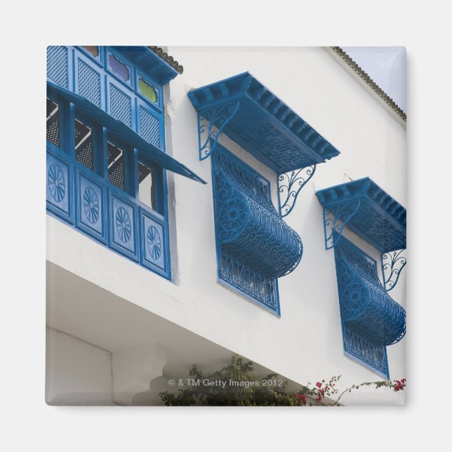 Sidi Bou Said, Tunisien Magnet (Framsidan)
