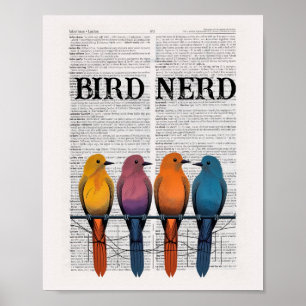 Sidkonst i fågelskyddsområden poster
